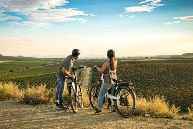 Raimat Sobre Ruedas: Visita a Bodega, Paseo por Raimat Natura en Bicicleta Eléctrica y Degustación de Vinos y Cava (Lleida)