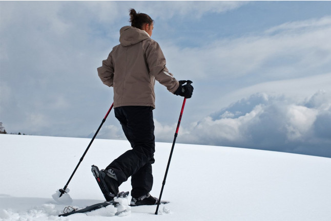 Ruta en Raquetas de Nieve con Fotos para Familias (Huesca)