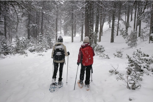 Bautizo de Raquetas de Nieve (La Molina, Girona)