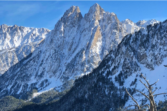 Ruta con Raquetas de Nieve por el Bosc del Gerdar (Lleida)