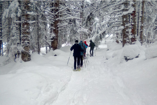 Ruta con Raquetas de Nieve por el Bosc del Gerdar (Lleida)