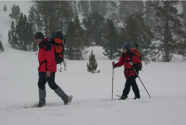 Ruta con Raquetas de Nieve por el Bosc del Gerdar (Lleida)