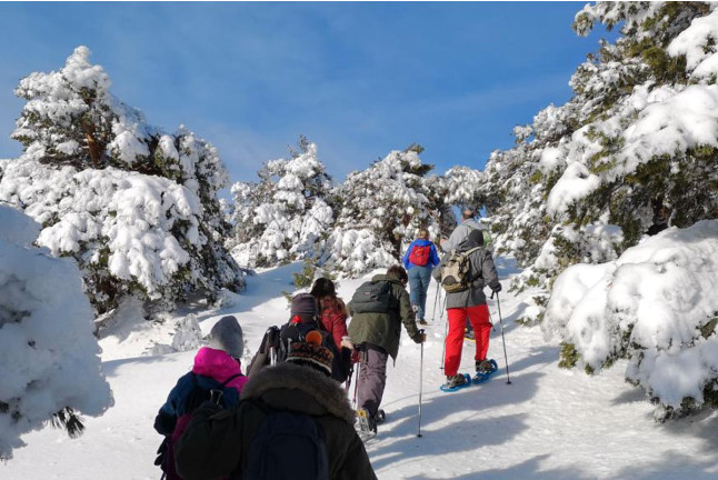 Ruta en Raquetas de Nieve por la Sierra de Madrid (Madrid)