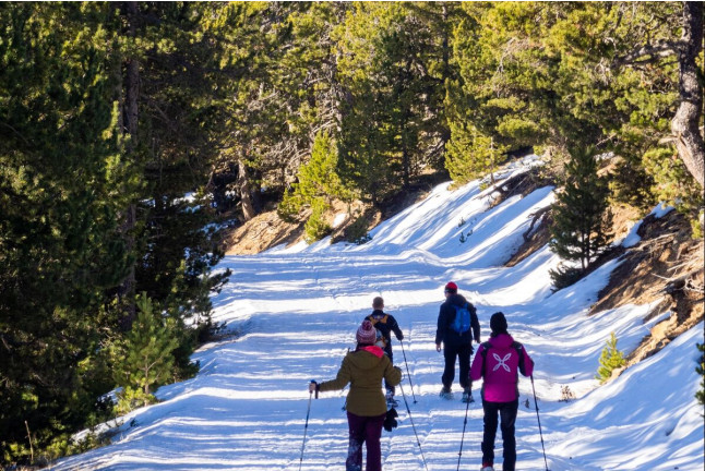 Raquetas de Nieve y Cena en Naturland (Andorra)