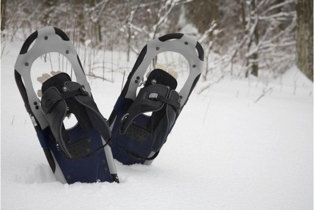 Excursión con Raquetas de Nieve (Espot, Lleida)