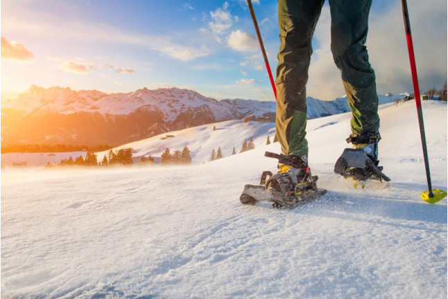 Excursión con Raquetas de Nieve (Espot, Lleida)