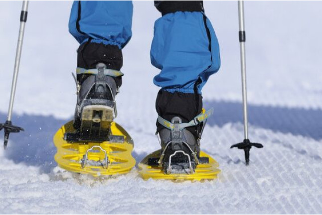 Excursión en Raquetas de Nieve (Estany de Sant Maurici, Lleida)