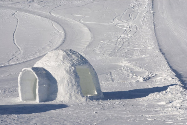 Día de Nieve: Ruta en Raquetas de Nieve, Construcción de Iglús y Carreras de Trineos (Navacerrada, Madrid)