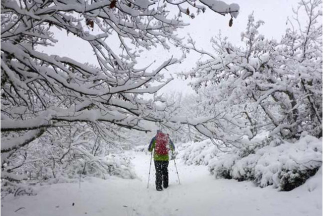 Excursión en Raquetas de Nieve (Sierra de Guadarrama, Madrid)