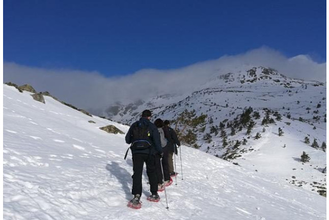 Excursión en Raquetas de Nieve por la Sierra de Guadarrama (Madrid)