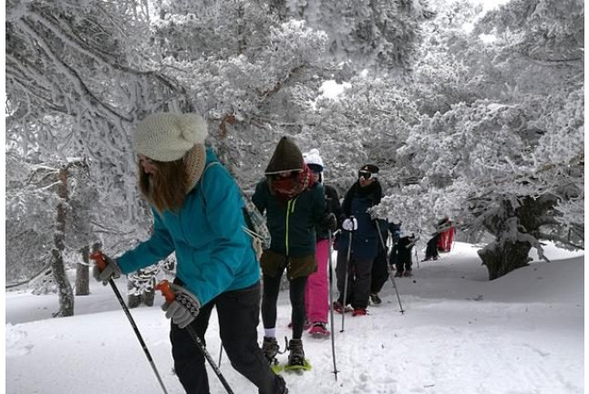 Excursión en Raquetas de Nieve por la Sierra de Guadarrama (Madrid)