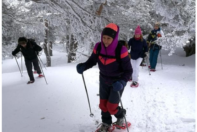 Excursión en Raquetas de Nieve por la Sierra de Guadarrama (Madrid)