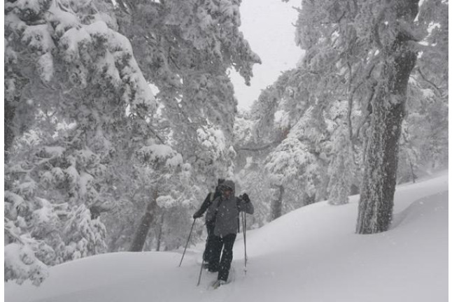 Excursión en Raquetas de Nieve por la Sierra de Guadarrama (Madrid)
