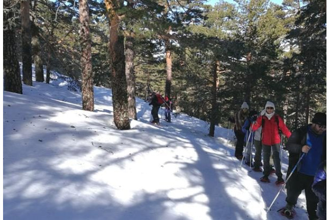Excursión en Raquetas de Nieve por la Sierra de Guadarrama (Madrid)