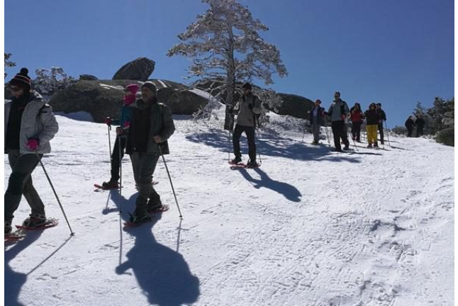 Excursión en Raquetas de Nieve por la Sierra de Guadarrama (Madrid)