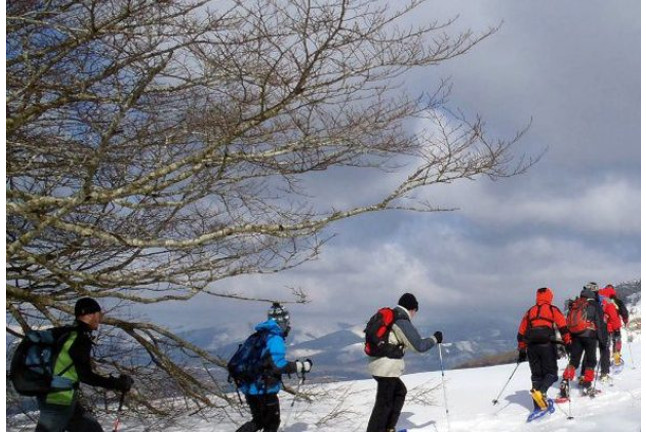 Raquetas de Nieve (Navarra o Álava)