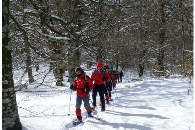 Raquetas de Nieve (Navarra o Álava)