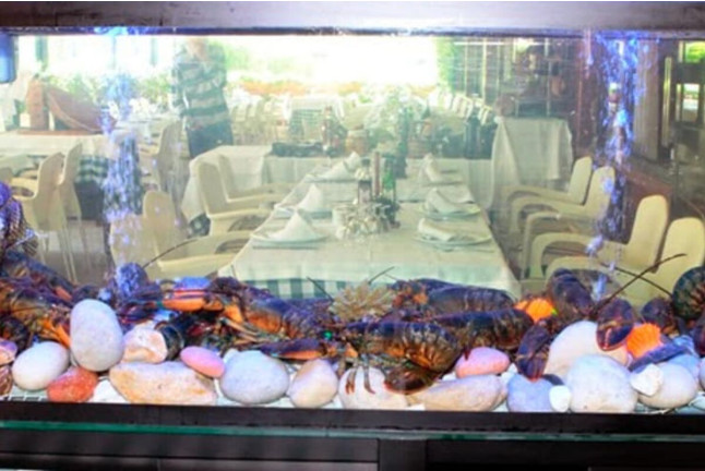 Cena o Comida para dos en Restaurante La Gaviota (Salou, Tarragona)
