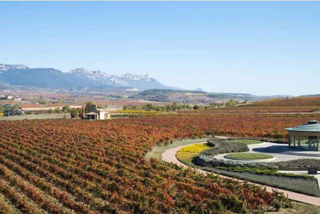 Comida en Restaurante Panorámico Vivanco (Briones, La Rioja)