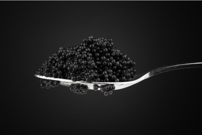 Visita a Caviar Riofrío con Degustación de Caviar (Riofrío, Granada)