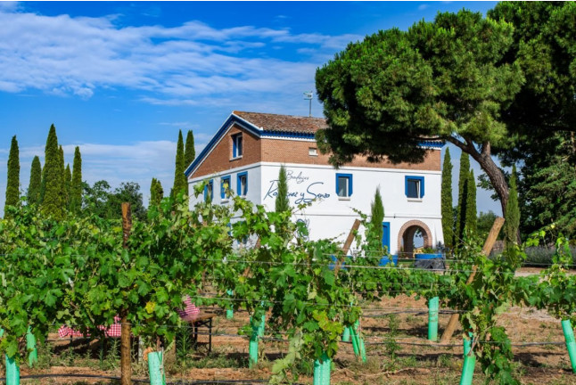 Escapada de 2 Noches con Visita a Bodega y Cata de Vinos en Bodegas Rodríguez y Sanzo (Rueda, Valladolid)