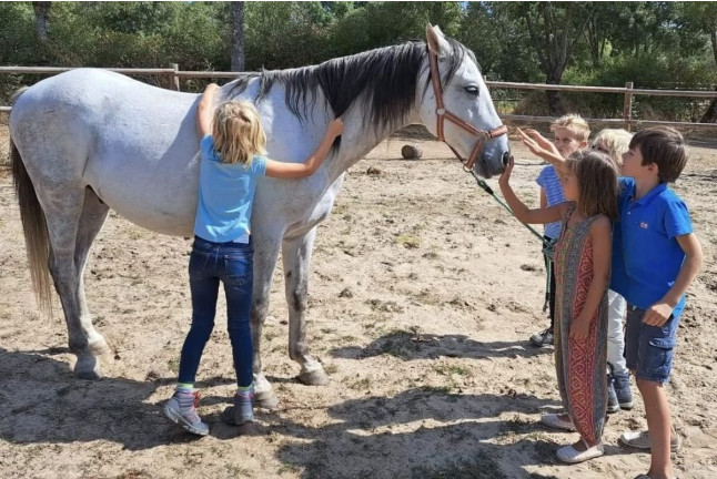 Ruta a Caballo y Mini Pícnic para dos (Colladillo, Segovia)