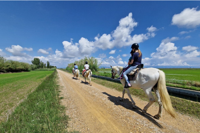 Ruta a Caballo por el Delta del Ebro (Tarragona)