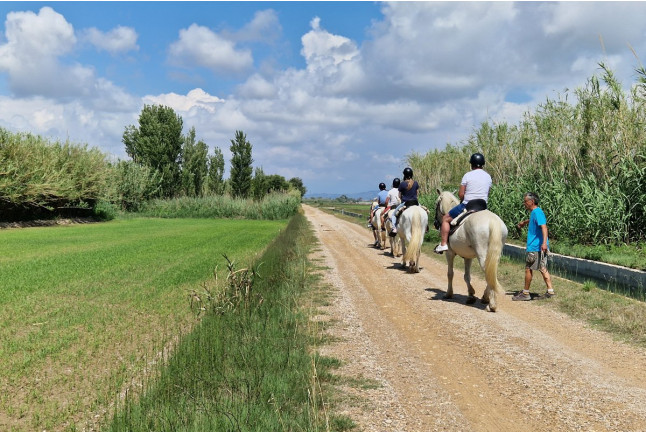 Ruta a Caballo por el Delta del Ebro (Tarragona)