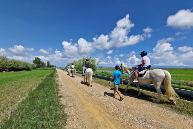 Ruta a Caballo por el Delta del Ebro (Tarragona)