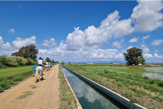 Ruta a Caballo por el Delta del Ebro (Tarragona)