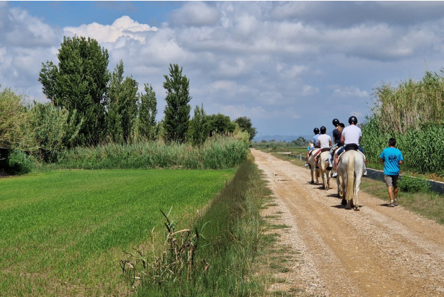 Ruta a Caballo por el Delta del Ebro (Tarragona)