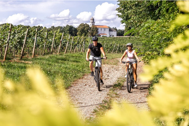 Ruta en Bicicleta y Visita Completa a Bodega con Degustación y Cata de Vinos en Bodega Miquel J. Jané (Barcelona)