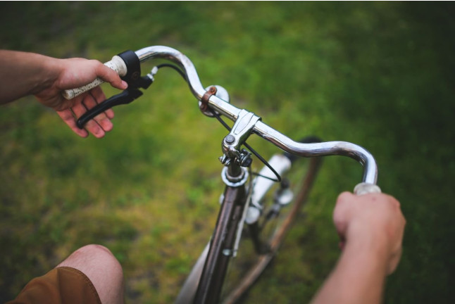 Ruta en Bicicleta y Visita Completa a Bodega con Degustación y Cata de Vinos en Bodega Miquel J. Jané (Barcelona)