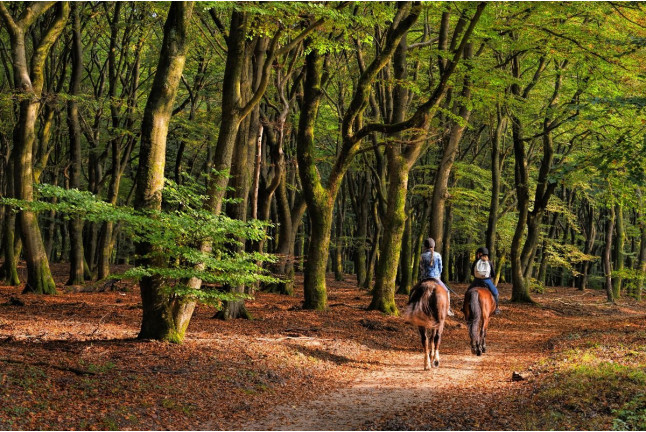 Ruta a Caballo (Badajoz)