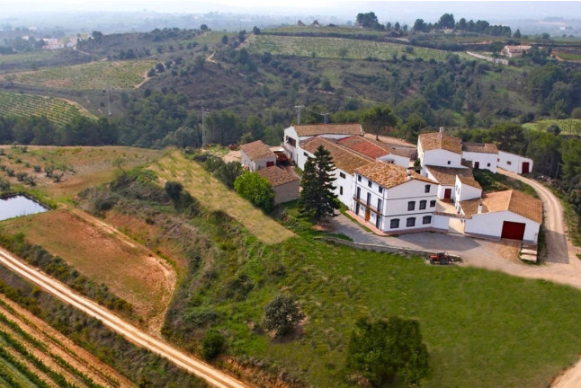 Ruta a Caballo y Visita Completa a Bodega con Degustación y Cata de Vinos en Bodega Miquel J. Jané (Barcelona)