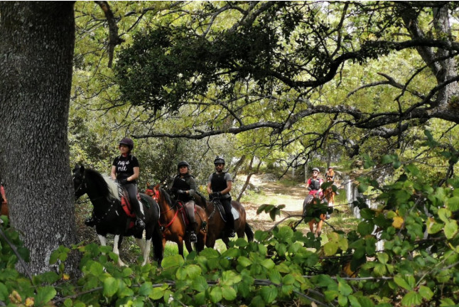 Ruta a Caballo por Sierra Oeste (Robledo de Chavela, Madrid)