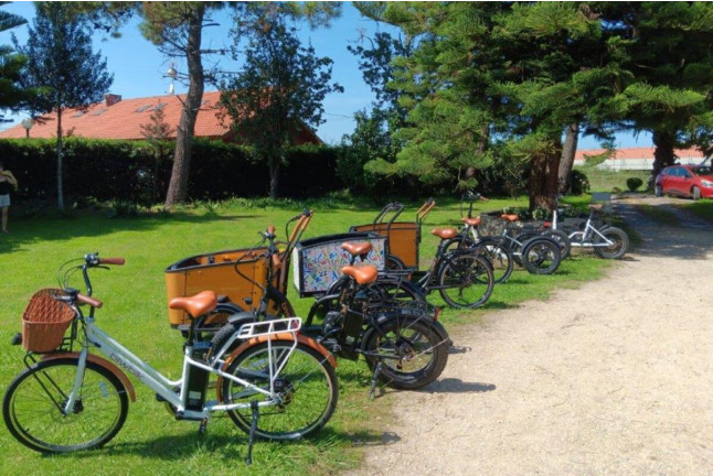 Experiencia Exclusiva Aladinia: Ruta Inclusiva en Bicicleta Eléctrica con Picnic y Comida Asturiana (Candás, Asturias)