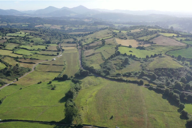 Experiencia Exclusiva Aladinia: Ruta Inclusiva en Bicicleta Eléctrica con Picnic y Comida (Candás, Asturias)