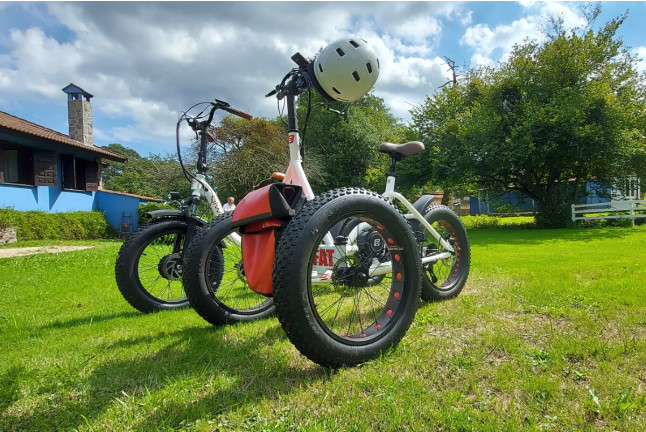 Experiencia Exclusiva Aladinia: Ruta Inclusiva en Bicicleta Eléctrica con Picnic y Comida (Candás, Asturias)
