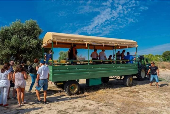 Ruta Enoturística con Visita a Bodega Vinícola de Arganda y Cata para dos (Arganda del Rey, Madrid)