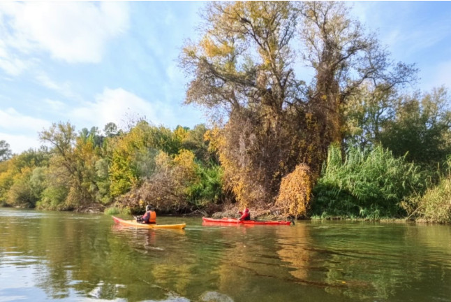 Ruta en Kayak Migjorn - Illa de Buda (Deltebre, Tarragona)