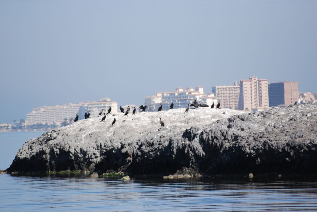 Ruta en Golondrina por las 5 Islas del Mar Menor (Murcia)