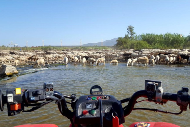 Ruta en Quad con Fotos y Vídeos (Málaga)