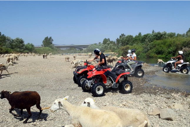 Ruta en Quad con Fotos y Vídeos (Málaga)