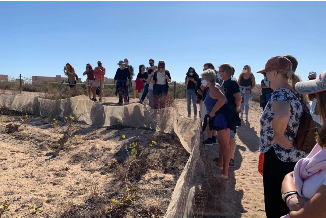Ruta del Vino: Visita Guiada con Cata de Vinos y Maridaje en Parque Natural de La Mata (Torrevieja, Alicante)