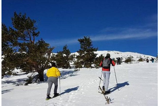 Ruta en Raquetas de Nieve con Luna Llena en Navacerrada (Madrid)