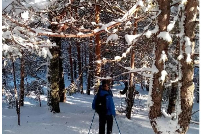 Ruta en Raquetas de Nieve en Navacerrada (Madrid)