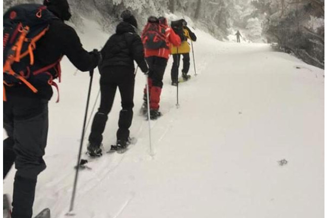 Ruta en Raquetas de Nieve en Navacerrada (Madrid)
