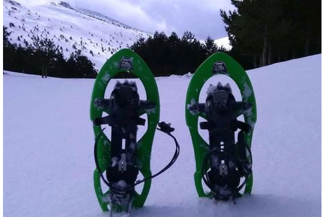 Ruta en Raquetas de Nieve en Navacerrada (Madrid)