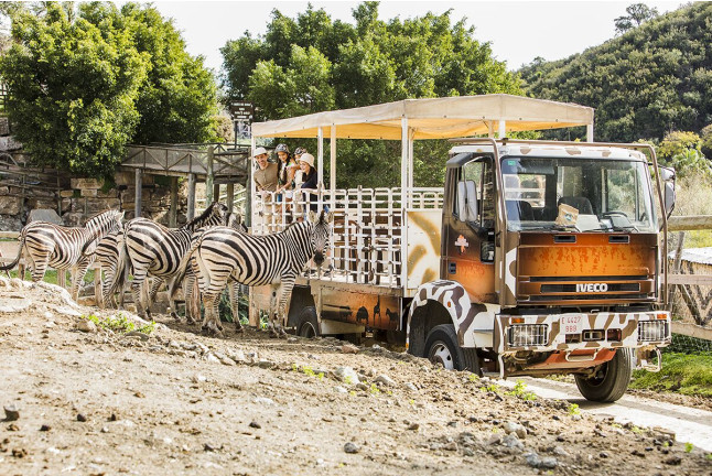 Visita a Safari Serengueti en Selwo Aventura (Málaga)